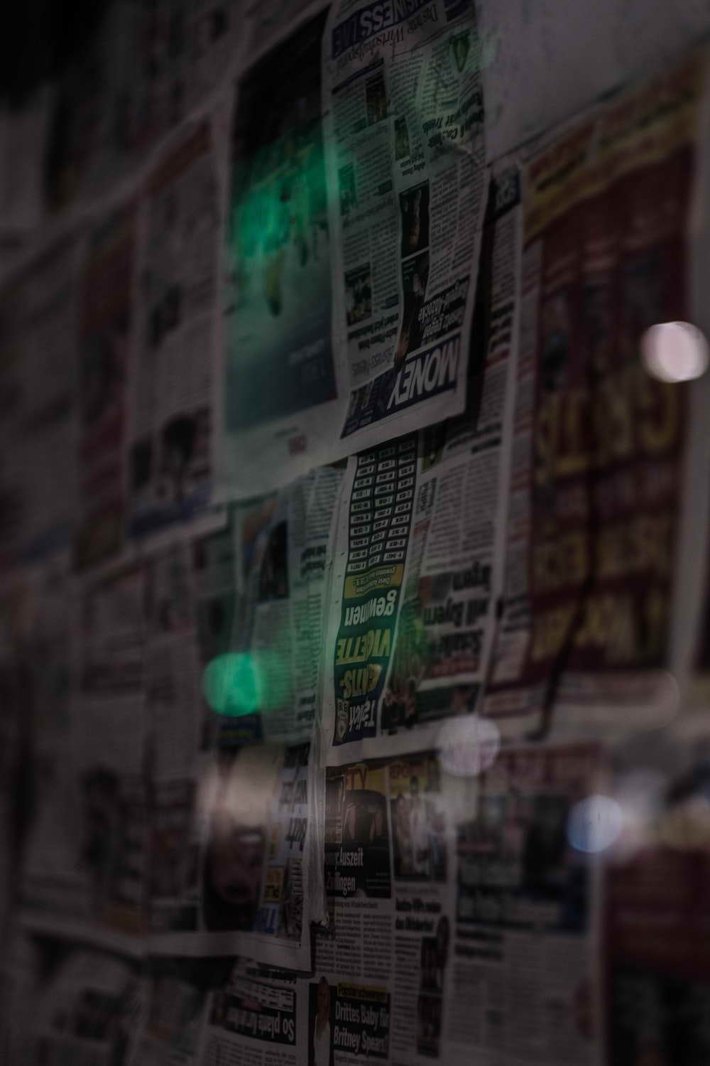 На Брянщине работы по лесовосстановлению выполнены на площади 2,9 тысячи гектара