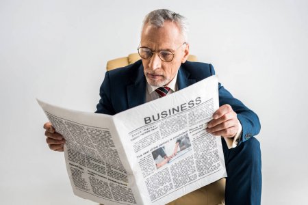 Ветеринар объяснил, как обезопасить питомца от стресса из-за шума фейерверков