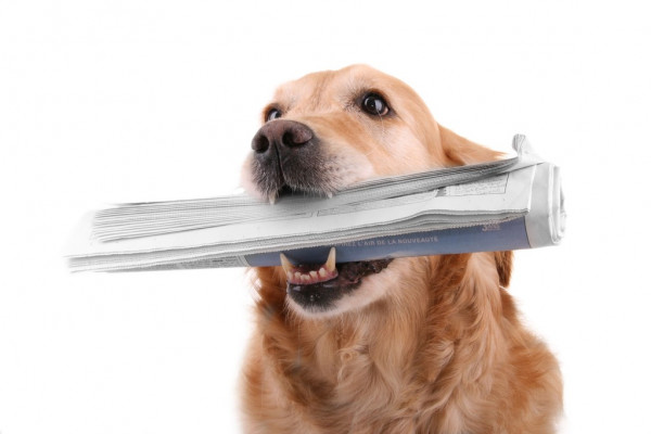 ТЦ Волгограда изменили графики работ в новогодние праздники